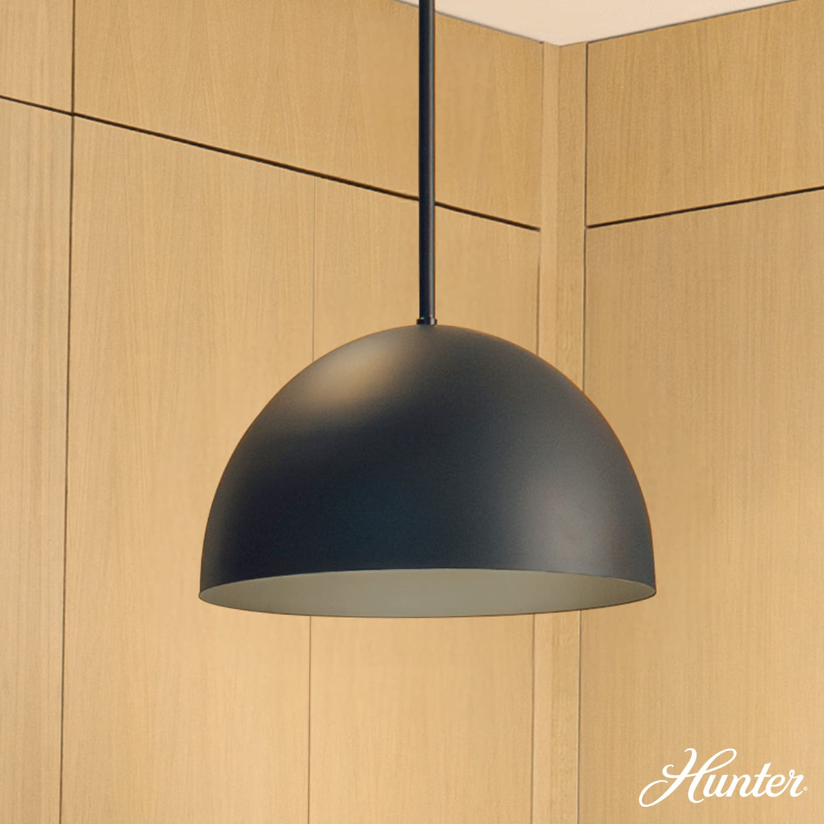 Colgante Erling 1 Luz 14 Pulgadas