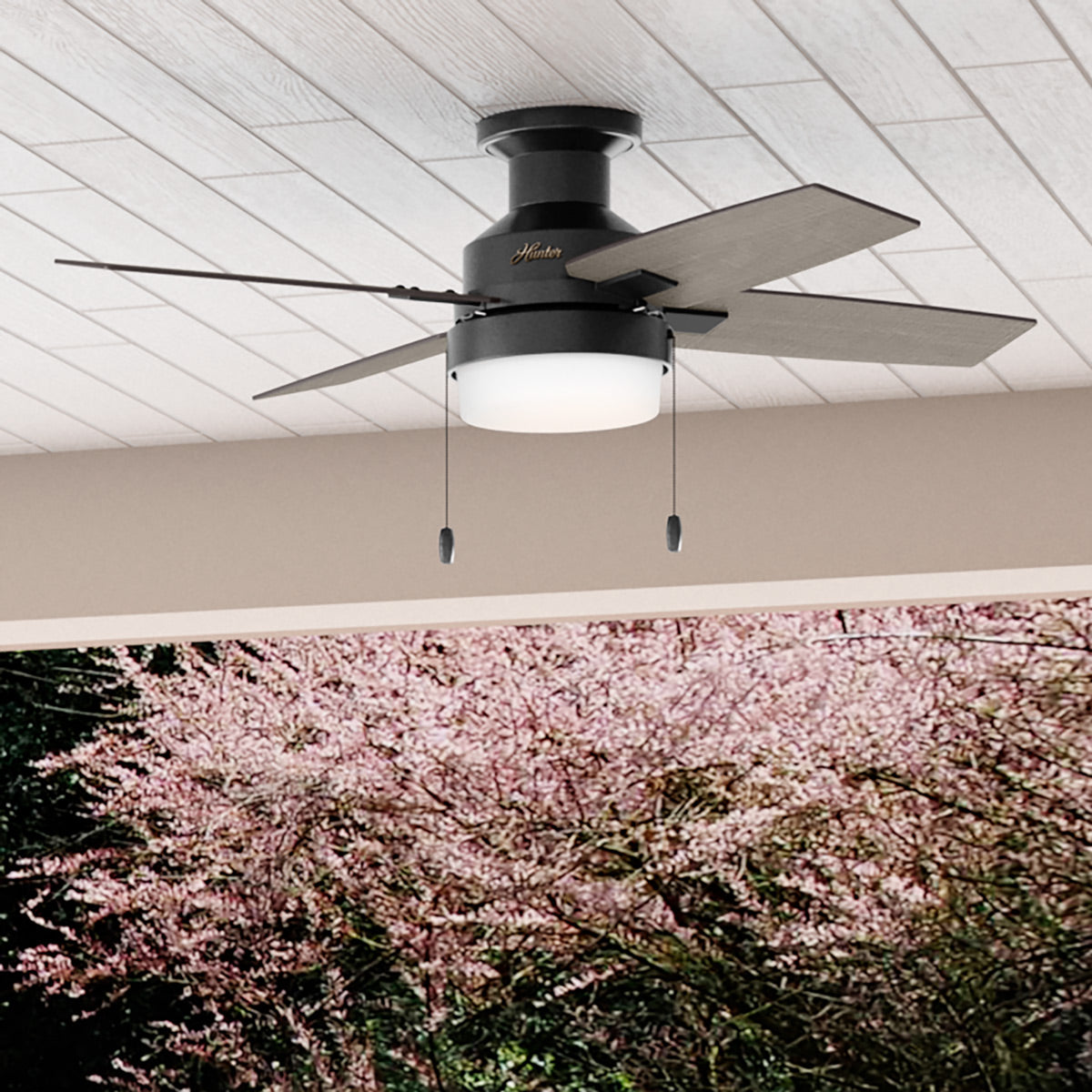 Port Haven LP Ceiling Fan with LED light 44 inches