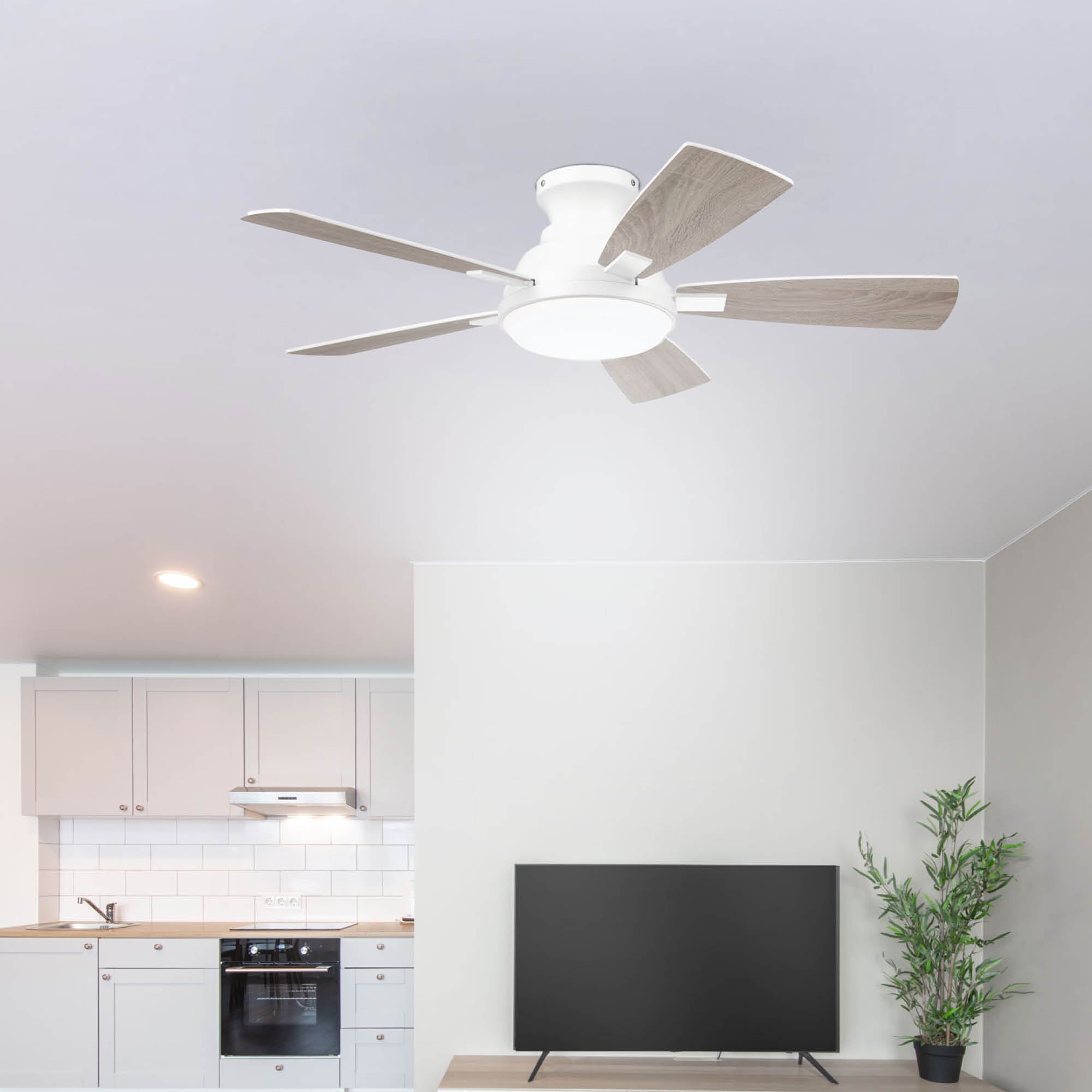 Ventilador de Techo Elevé Comfort M1 Perfil Bajo 5 Aspas 44 Pulgadas - HUNTER FAN
