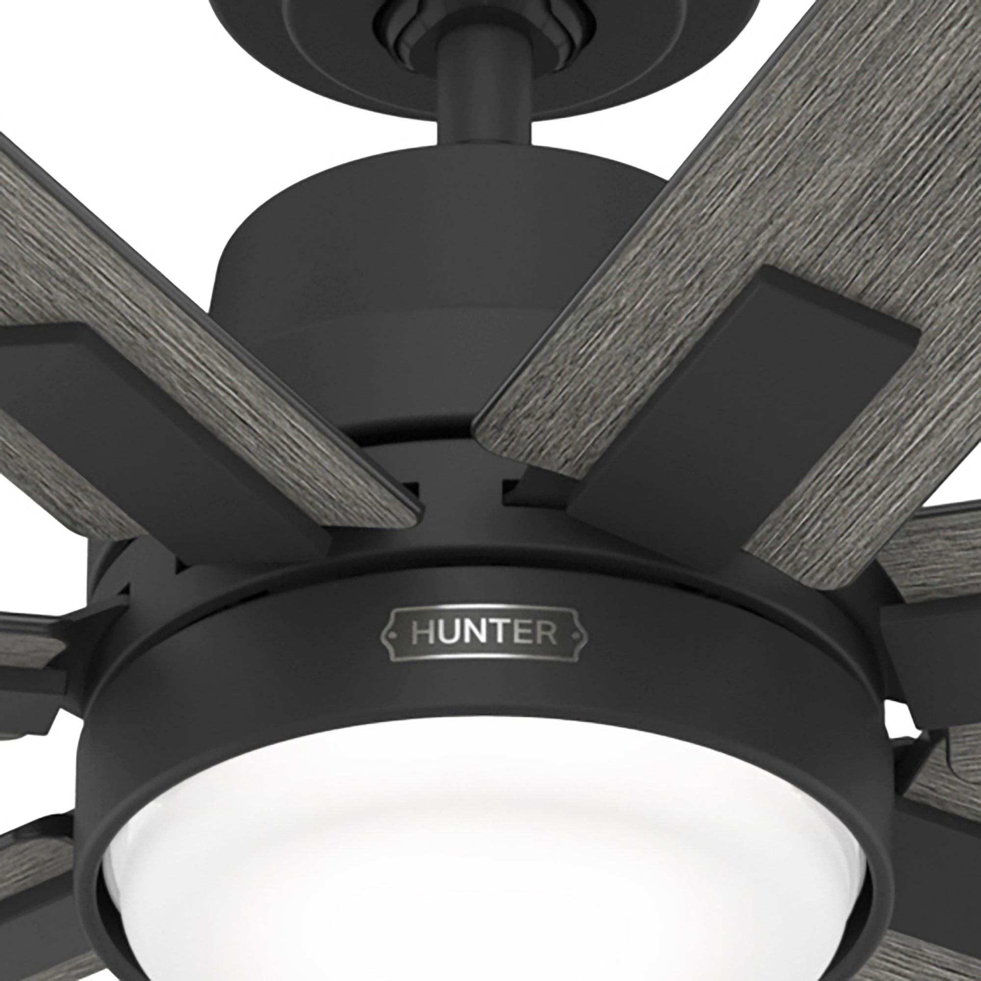 Ventilador de Techo Loflin con Luz 70 Pulgadas & HUNTER FAN