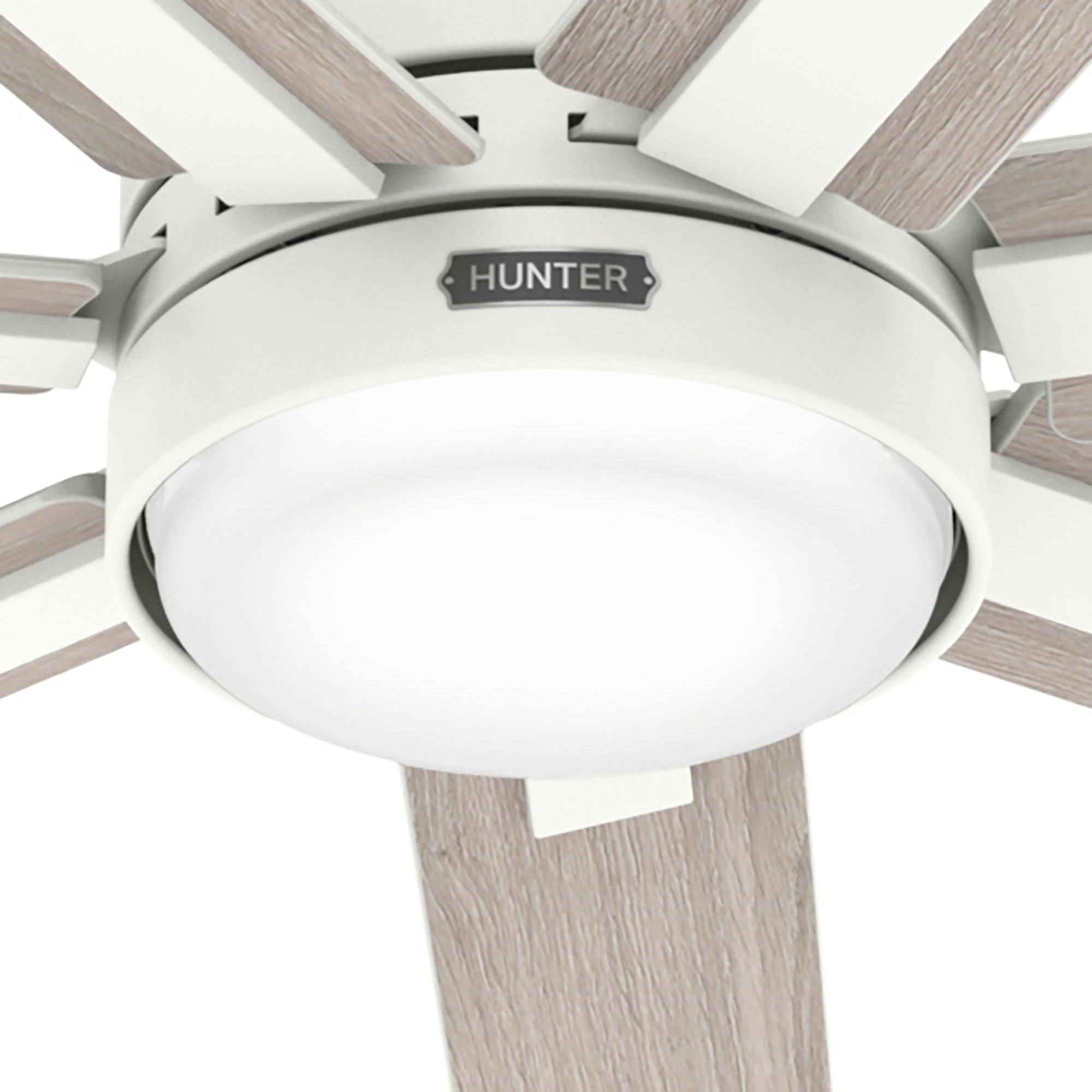 Ventilador de Techo Loflin con Luz 70 Pulgadas & HUNTER