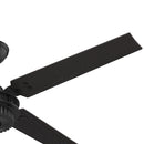 Chronicle Outdoor Ceiling Fan 54 Inches