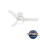 Dublin Ceiling Fan with LED Light 44 Inches
