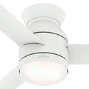 Dublin Ceiling Fan with LED Light 44 Inches