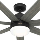 Phenomenon Ceiling Fan with Light and Wi-Fi 70 inches