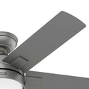 Zeal Ceiling Fan with Light 44 inches