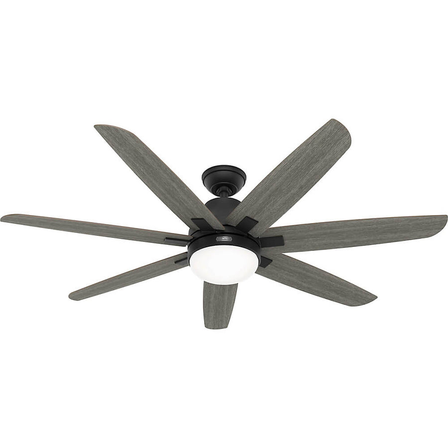 Wilder Ceiling Fan with light 60 inches