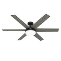 Millington ceiling fan with light 60 inches