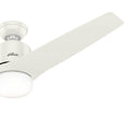 Leiva Ceiling Fan with LED Light 54 Inches